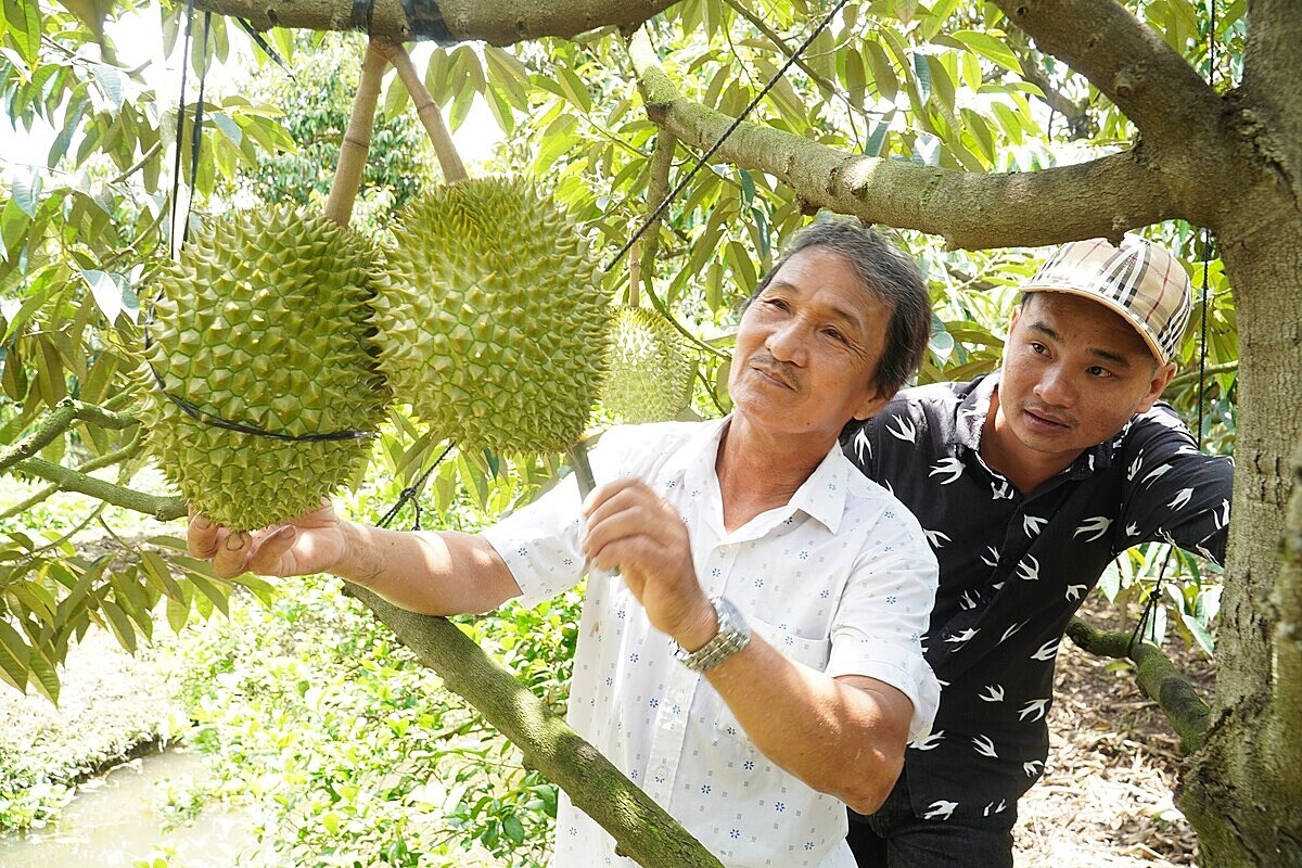 Để HTX không còn ‘đơn thương độc mã’ trong liên kết tiêu thụ sản phẩm