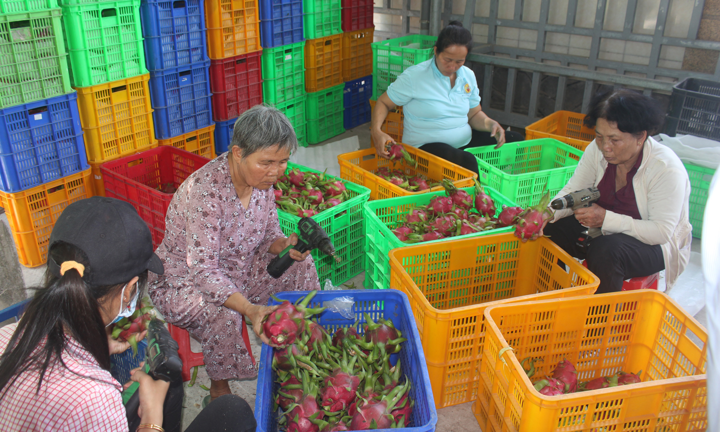 Dồn lực phát triển kinh tế tập thể