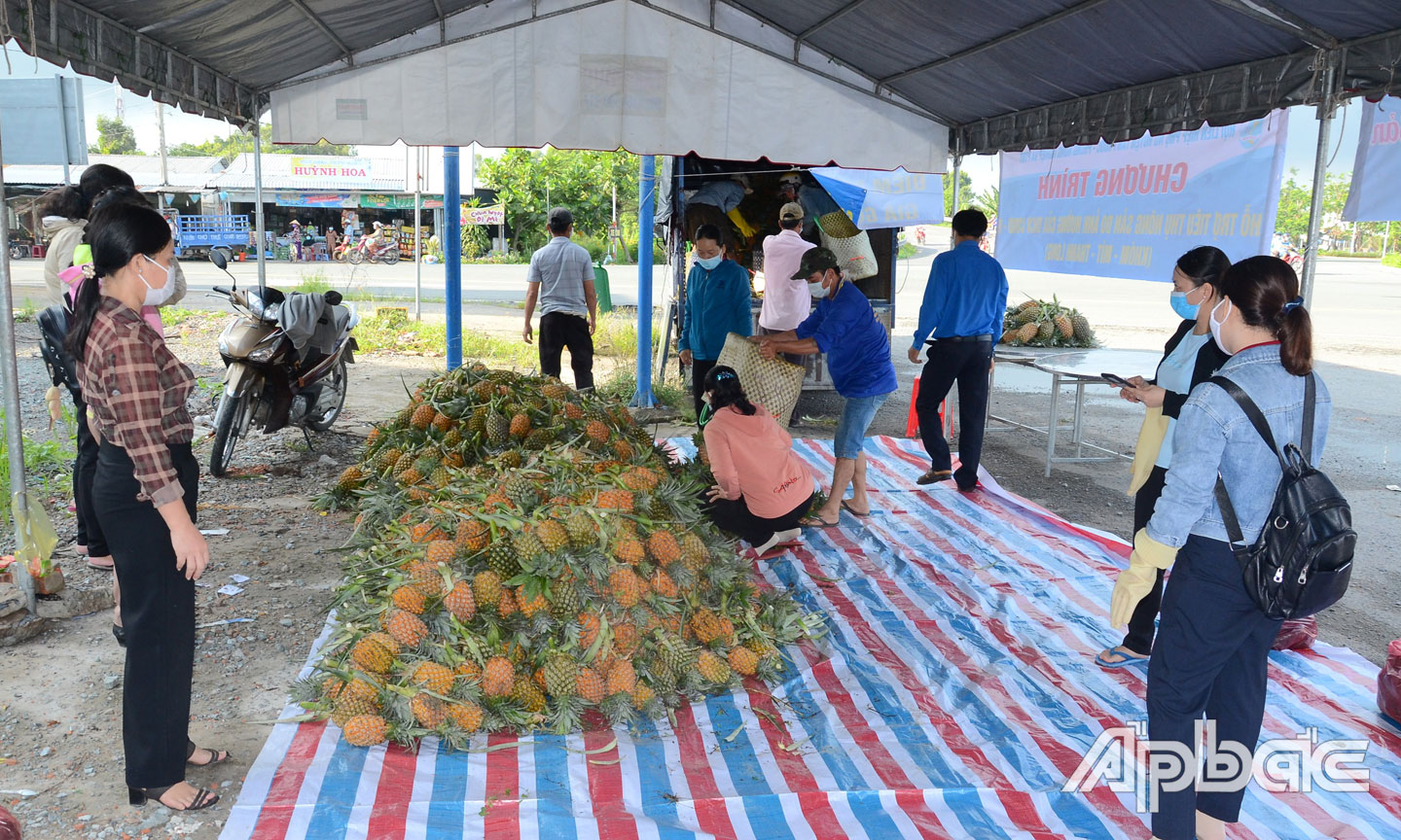 Tiền Giang: Kết nối tiêu thụ nông sản